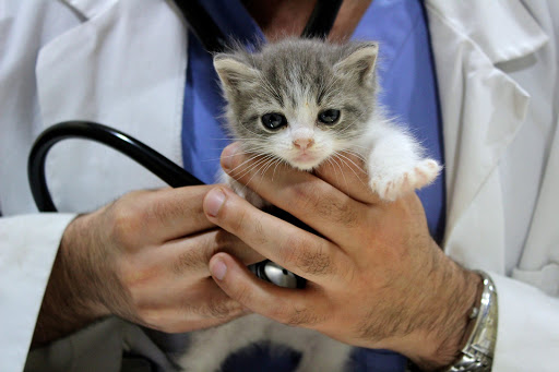 900 E Broadway, Anaheim, CA 92805, USA