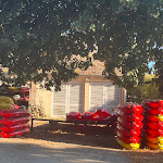 Photo n° 2 de l'avis de Mathieu.a fait le 26/07/2020 à 09:26 pour Val des Chateaux Canoe Kayak à Saint-Dyé-sur-Loire