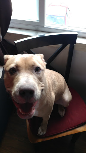 Pet Supply Store «Petco Animal Supplies», reviews and photos, 24413 Crenshaw Blvd #8, Torrance, CA 90505, USA