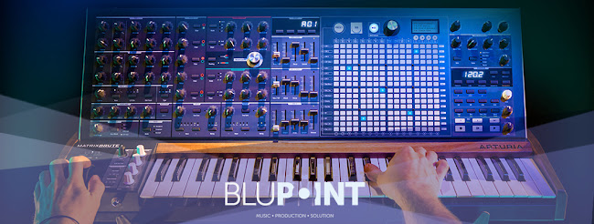 Opiniones de Blupoint Music en Las Condes - Tienda de instrumentos musicales