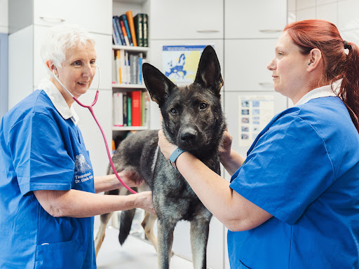 Tierarzt Görke Hermannsburg, Tierarztpraxis Dr. Görke unter Südheide, 