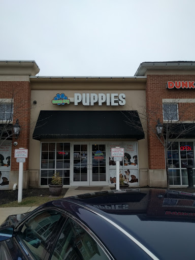 Pet Store «Charm City Puppies», reviews and photos, 8205 Snowden River Pkwy, Columbia, MD 21045, USA