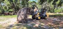 Florida Green Lawn & Tree Service - Photo 7 - Car repair in Lakeland, FL, Lakeland