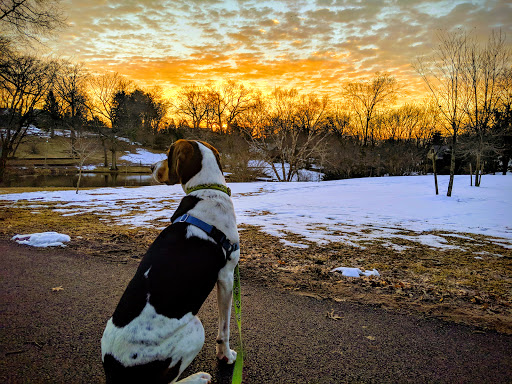 Park «Yantacaw Brook Park», reviews and photos, 30 Club Rd, Montclair, NJ 07043, USA