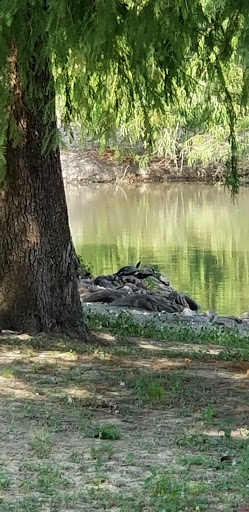 Golf Course «Sharpstown Country Club», reviews and photos, 6600 Harbor Town Dr, Houston, TX 77036, USA