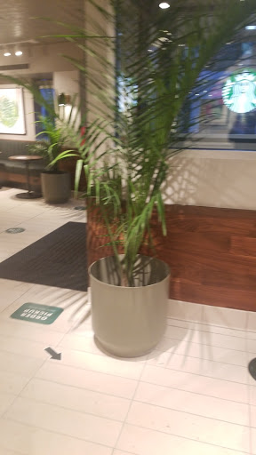 Coffee Shop «Starbucks», reviews and photos, 51 Purchase St, Rye, NY 10580, USA