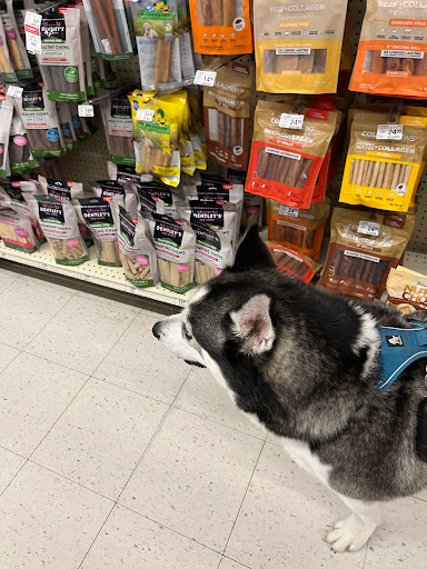 Pet Supply Store «PetSmart», reviews and photos, 5336 Westpointe Plaza Drive, Columbus, OH 43228, USA