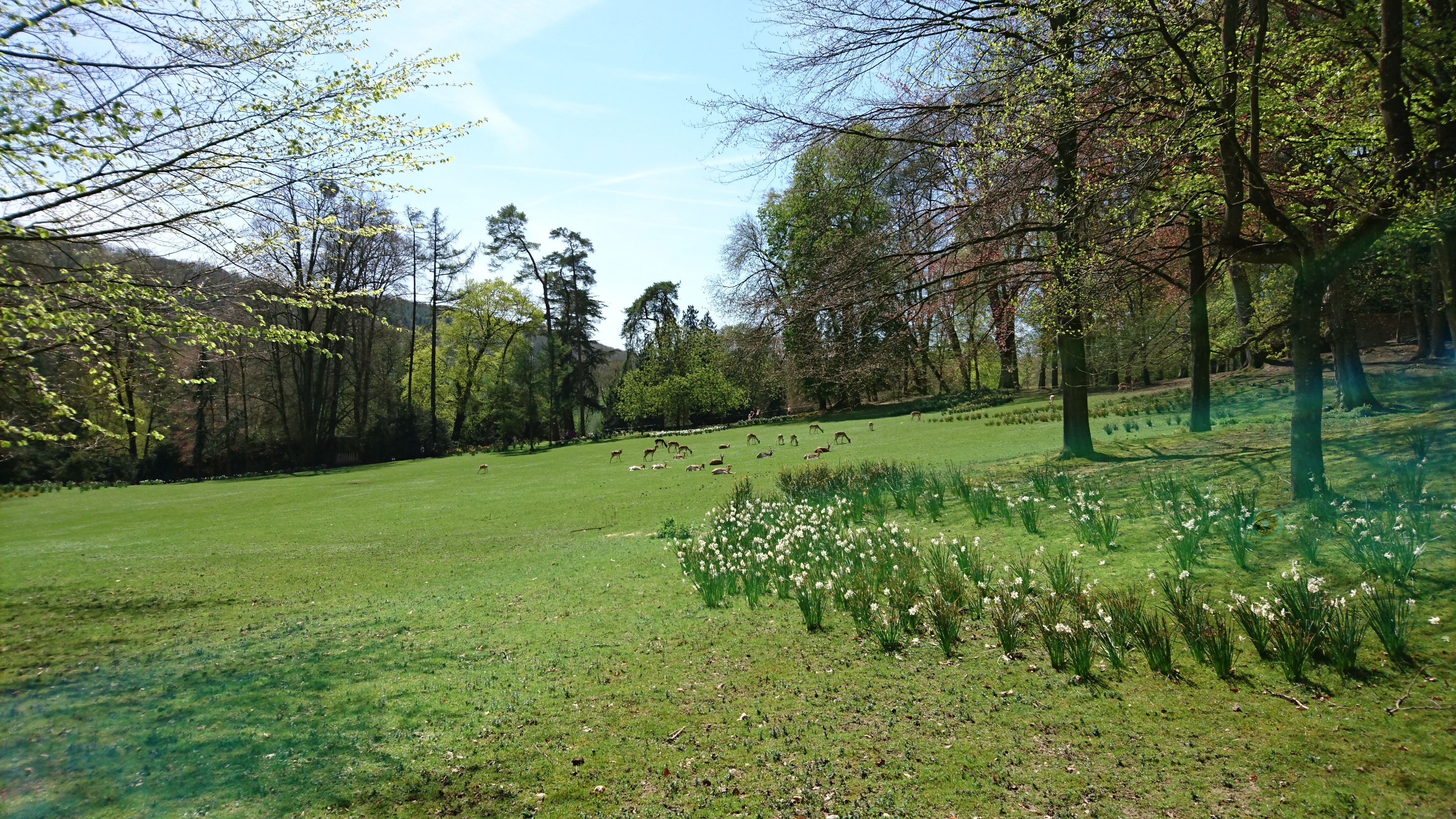 Photo n° 10 de l'avis de Pascale.o fait le 18/04/2018 à 14:11