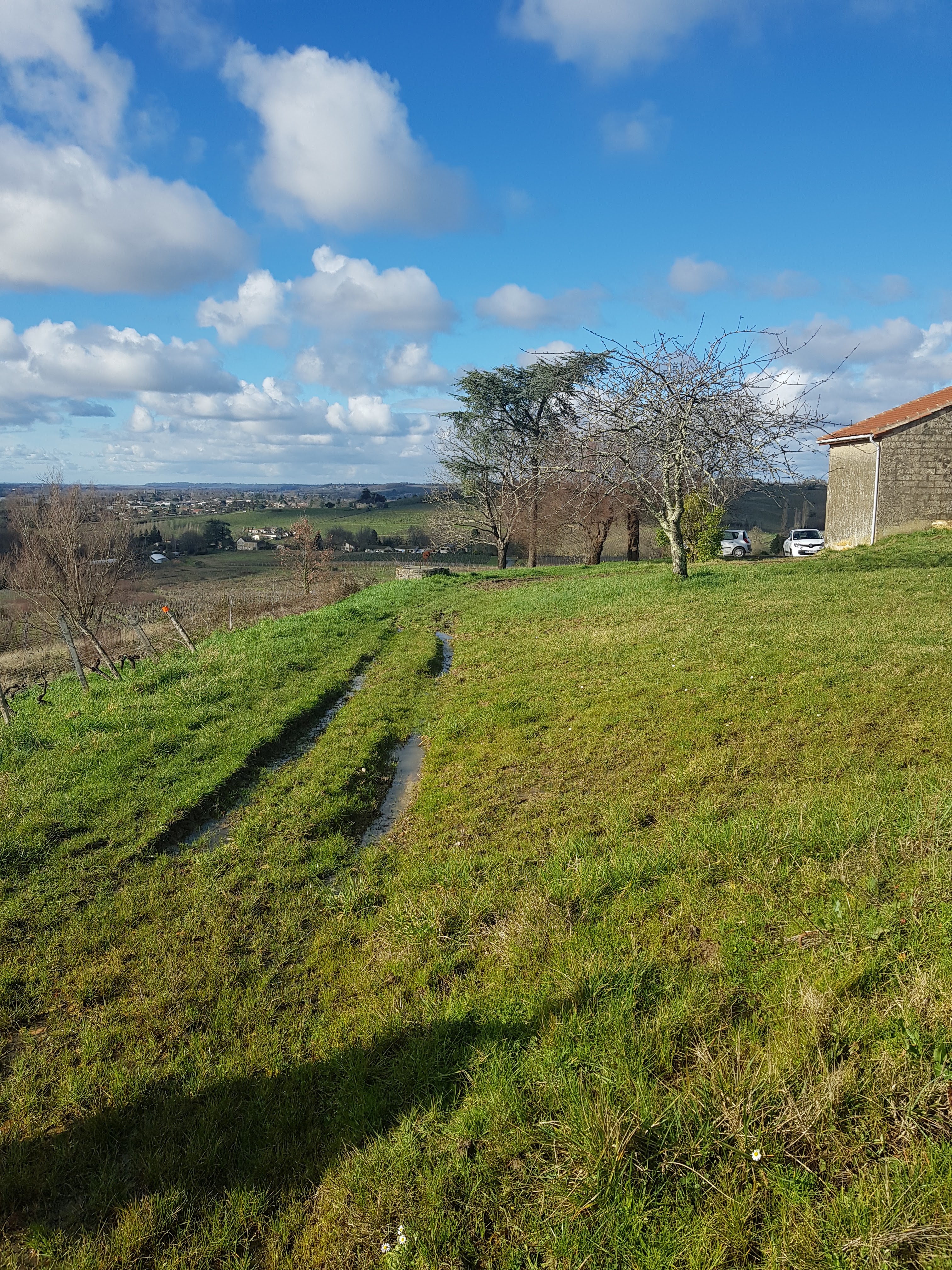 Photo n° 13 de l'avis de Philippe.u fait le 11/02/2021 à 12:36
