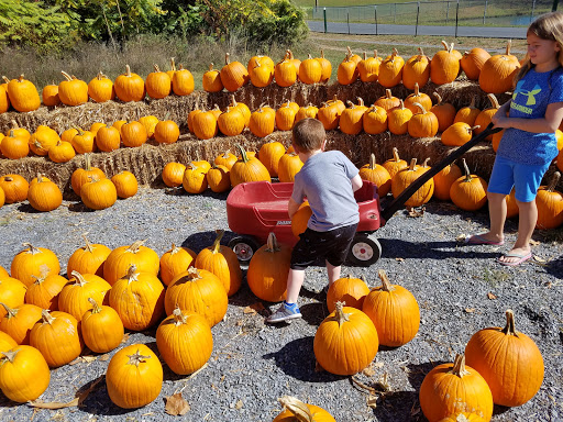 Supermarket «Spring Valley Farm Corner Market», reviews and photos, 22580 Northwestern Turnpike, Romney, WV 26757, USA