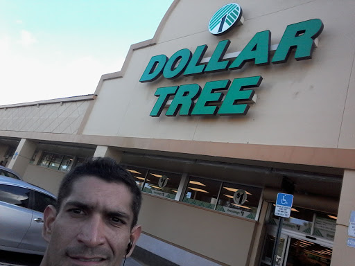 Dollar Store «Dollar Tree», reviews and photos, 9055 Biscayne Blvd, Miami Shores, FL 33138, USA