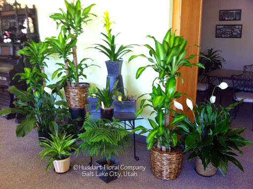 Florist «Huddart Floral Company», reviews and photos, 156 900 S, Salt Lake City, UT 84111, USA