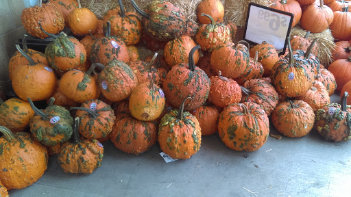 Grocery Store «Ralphs», reviews and photos, 1413 Hawthorne Blvd, Redondo Beach, CA 90278, USA