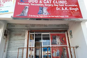 Care & Cure Dog And Cat Clinic - Best Pet & Cat Doctor/ Pet Clinic in Prayagraj/ Best Pet Hospital in Prayagraj image