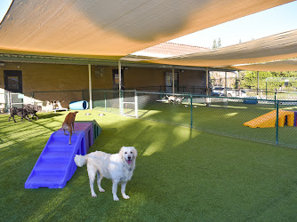 Chino Hills Animal Hospital & Pet Resort