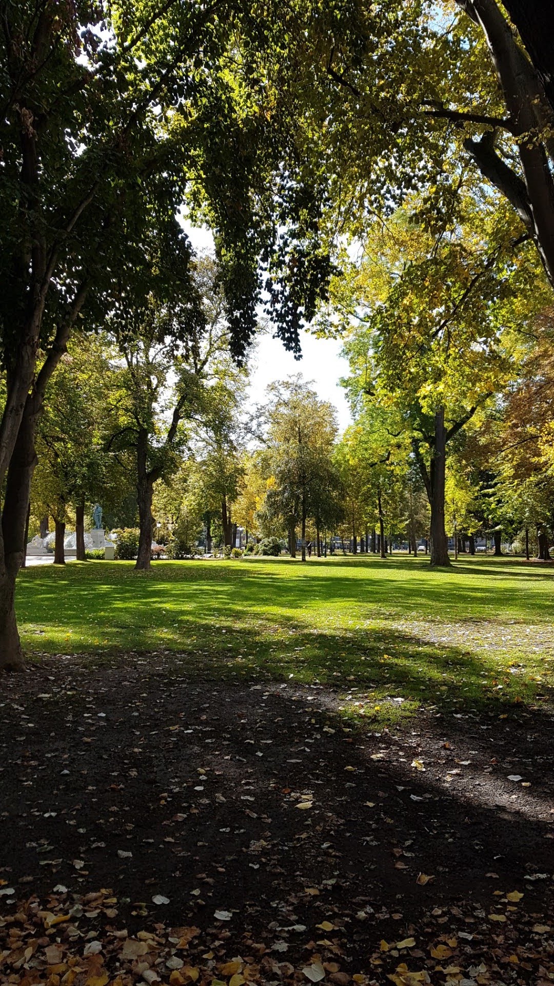 Photo n° 3 de l'avis de Patricia.u fait le 19/10/2019 à 09:19
