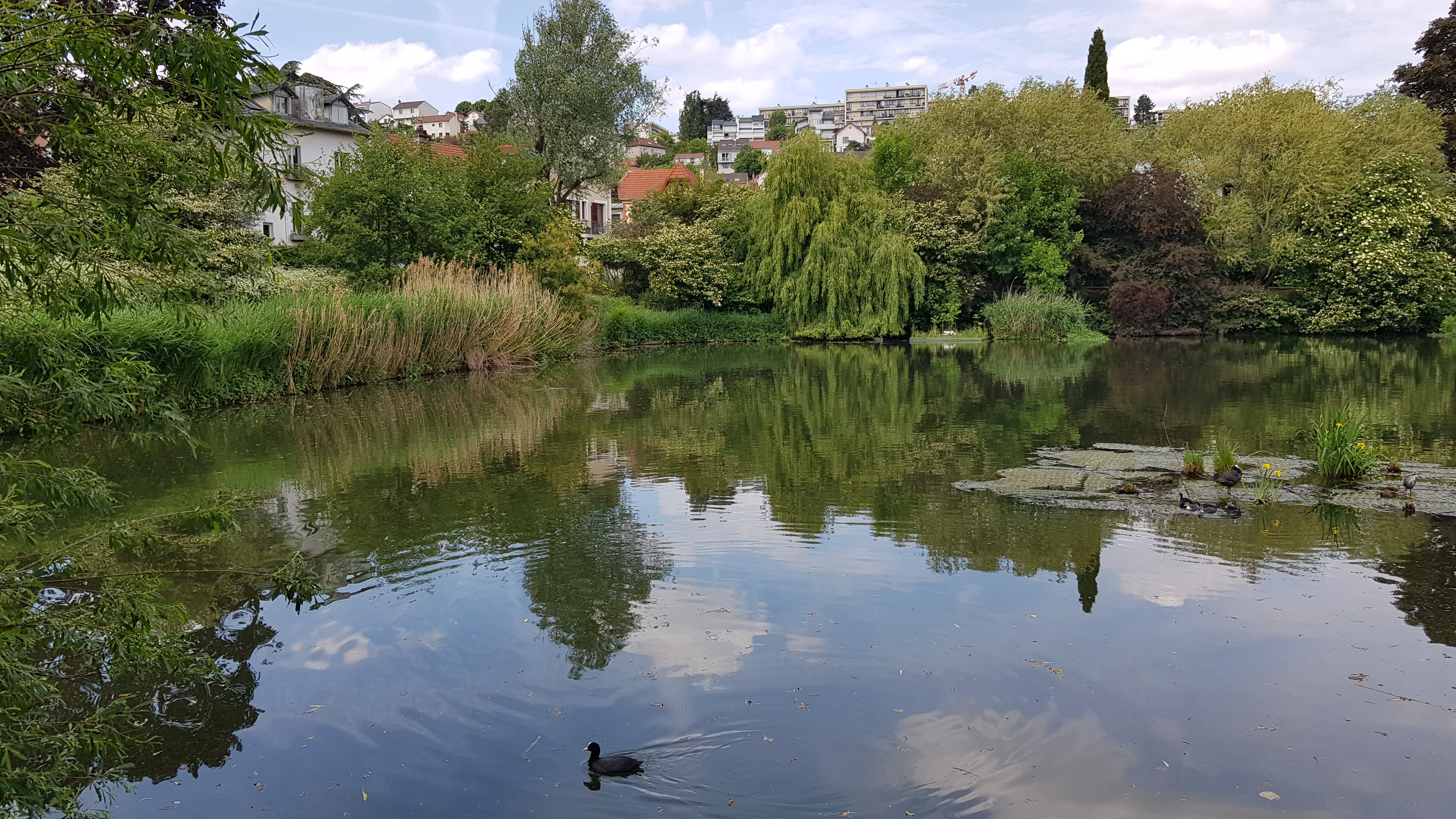 Photo n° 4 de l'avis de Coco.7 fait le 10/05/2022 à 19:34