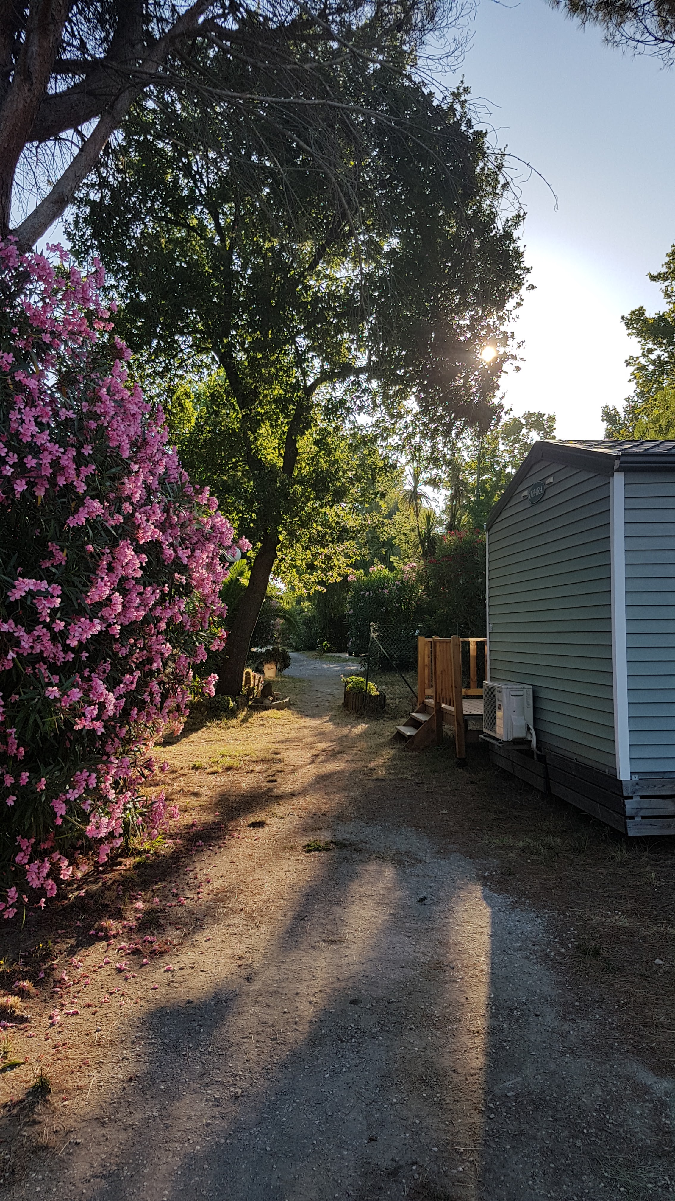 Photo n° 21 de l'avis de Aymeric.i fait le 21/07/2018 à 08:57