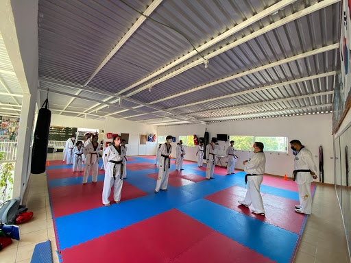 Taekwondo Club PANTERAS DORADAS