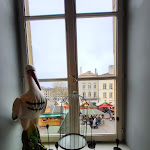 Photo n° 1 de l'avis de Sophie.e fait le 26/11/2023 à 12:21 pour Café le Rubis à Metz