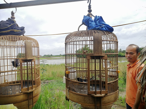 Top 20 coffee house cửa hàng Huyện Cần Đước Long An 2022