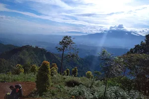 Gunung Terung Puraseda Leuwiliang Bogor image