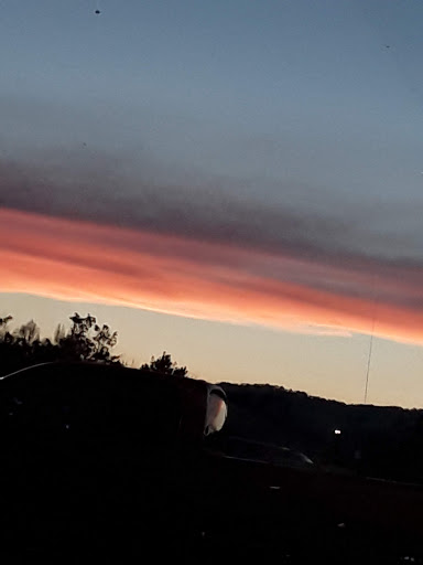 Department Store «Walmart Supercenter», reviews and photos, 2001 Glenn Blvd SW, Fort Payne, AL 35968, USA