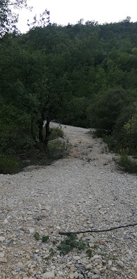 Ravin de Chamrein à Le Chaffaut-Saint-Jurson