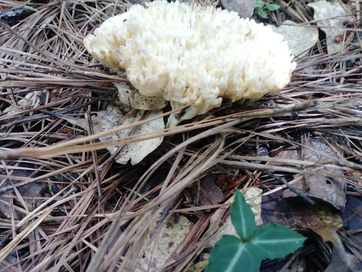 Community Center «Lake City Community Center», reviews and photos, 5471 Jonesboro Rd, Lake City, GA 30260, USA