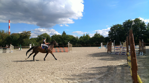 Horse riding lessons Warsaw