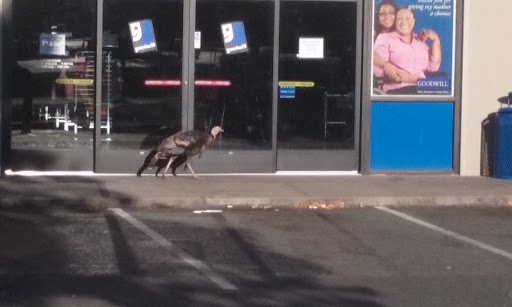 Thrift Store «Goodwill», reviews and photos, 11092 Coloma Rd, Rancho Cordova, CA 95670, USA