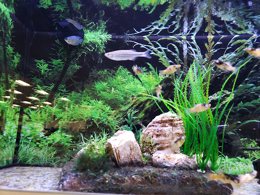 Pet Supply Store «Petco Animal Supplies», reviews and photos, 210 Nut Tree Pkwy, Vacaville, CA 95687, USA