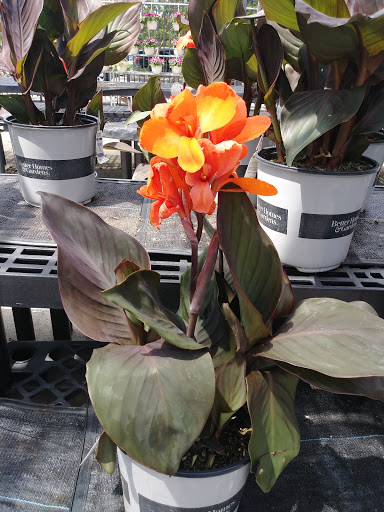 Department Store «Walmart Supercenter», reviews and photos, 10900 Parkside Dr, Knoxville, TN 37934, USA