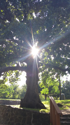 Park «Grapevine Springs Park», reviews and photos, 700 Park St, Coppell, TX 75019, USA