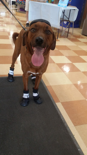 Pet Supply Store «Petco Animal Supplies», reviews and photos, 1080 Washington Square Center, Washington, MO 63090, USA