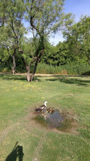Golf Club «Northern Hills Golf Club», reviews and photos, 13202 Scarsdale, San Antonio, TX 78217, USA