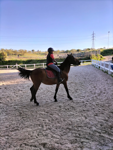 Equestrian Center Alameda del Pardo