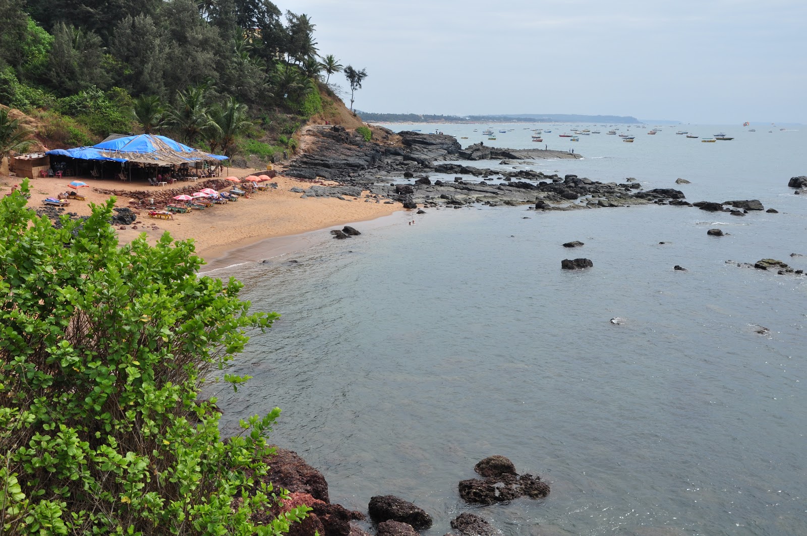 Baga Beach II的照片 带有明亮的沙子表面