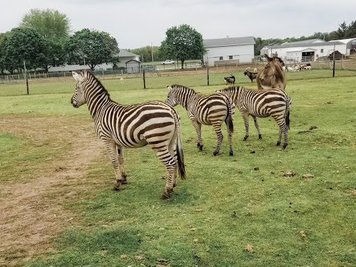 Zoo «Dutch Creek Farm Animal Park», reviews and photos, 6255 N 1000 W, Shipshewana, IN 46565, USA