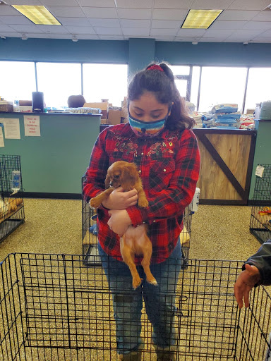 Pet Supply Store «Pet Ranch», reviews and photos, 3823 E 120th Ave, Denver, CO 80233, USA