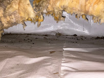 Exo Pest Solutions - Photo 4 - Car repair in , San Jose
