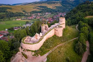 Fortress of Bologa image