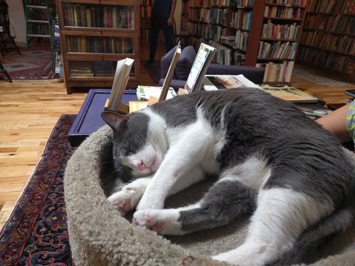 Used Book Store «Loganberry Books», reviews and photos, 13015 Larchmere Blvd, Cleveland, OH 44120, USA