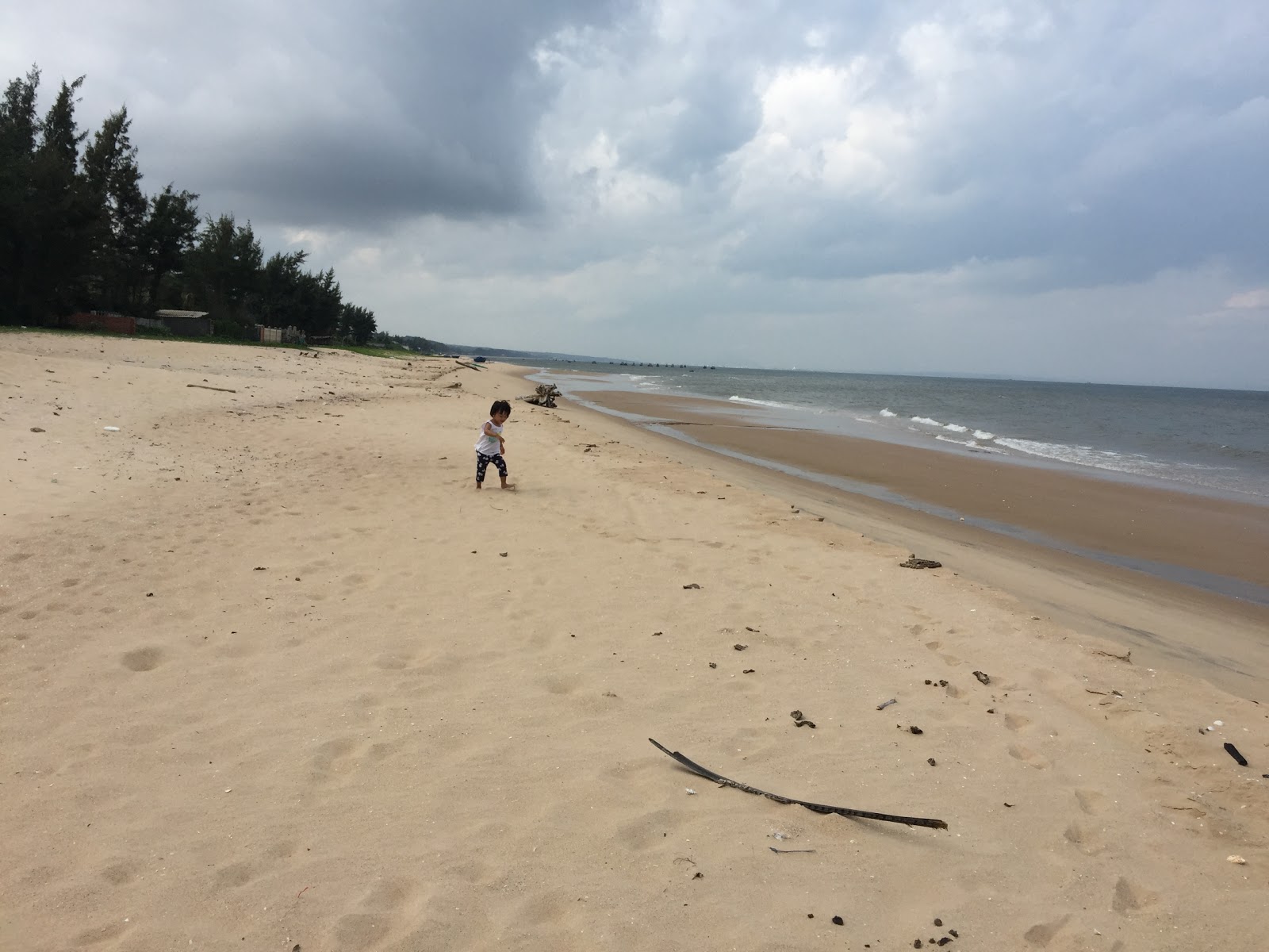 Fotografija Tien Thanh pho Phan Beach in naselje