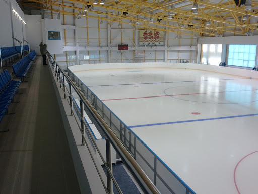 Olympic Reserve Sports School, Ice Rink