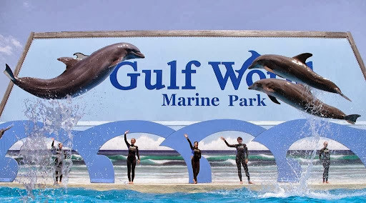 Aquarium «Gulf World», reviews and photos, 15412 Front Beach Rd, Panama City Beach, FL 32413, USA