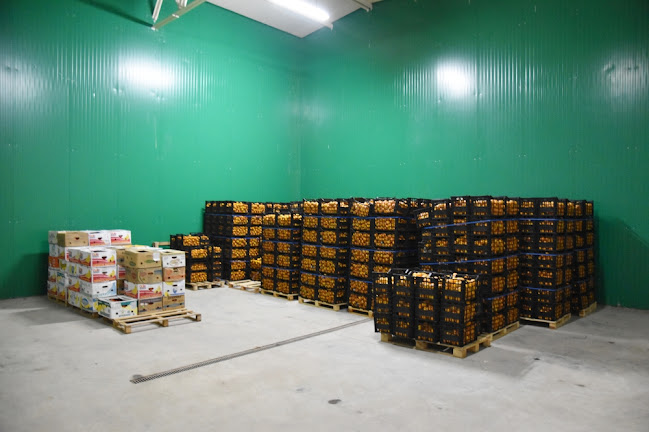 Opinii despre Poiana Storage (Beluri Agro SRL) în <nil> - Servicii de mutare