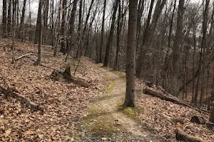 Bear Hollow Trails image