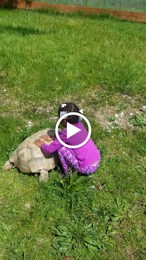 Zoo «Reptile Zoo», reviews and photos, 22715 US-2, Monroe, WA 98272, USA