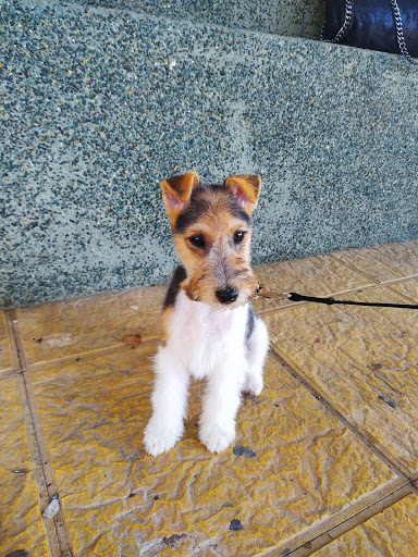 Puerto Centro Veterinario en El Puerto de Santa María